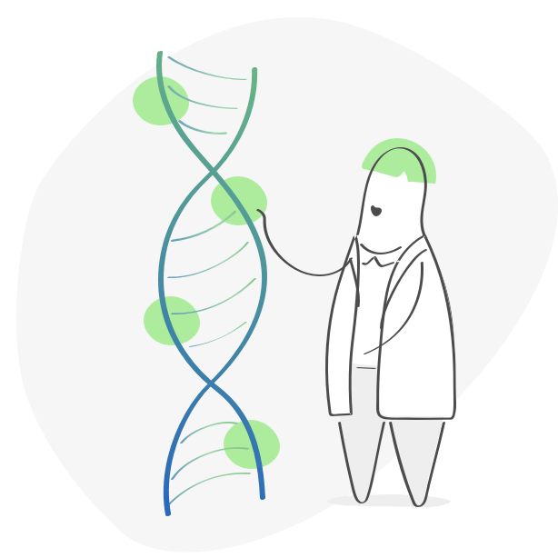 Illustration of the double helix of DNA