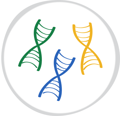 Multiple gene variants as a cause of genetic disease